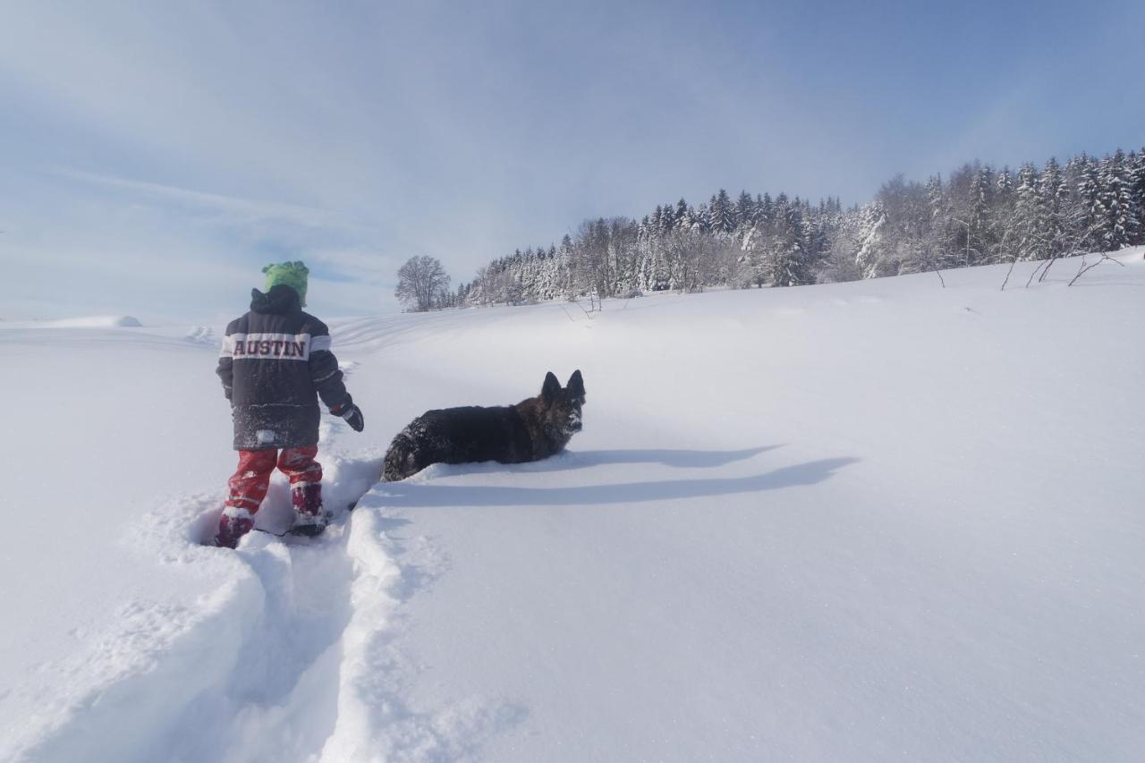 Alb Chalet Messstetten ภายนอก รูปภาพ